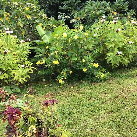 Pension Te Aroha - Te Haumaru Maatea エクステリア 写真
